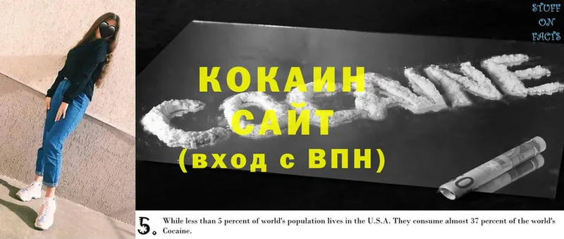 Cocaine Fish Scale  купить закладку  Всеволожск 